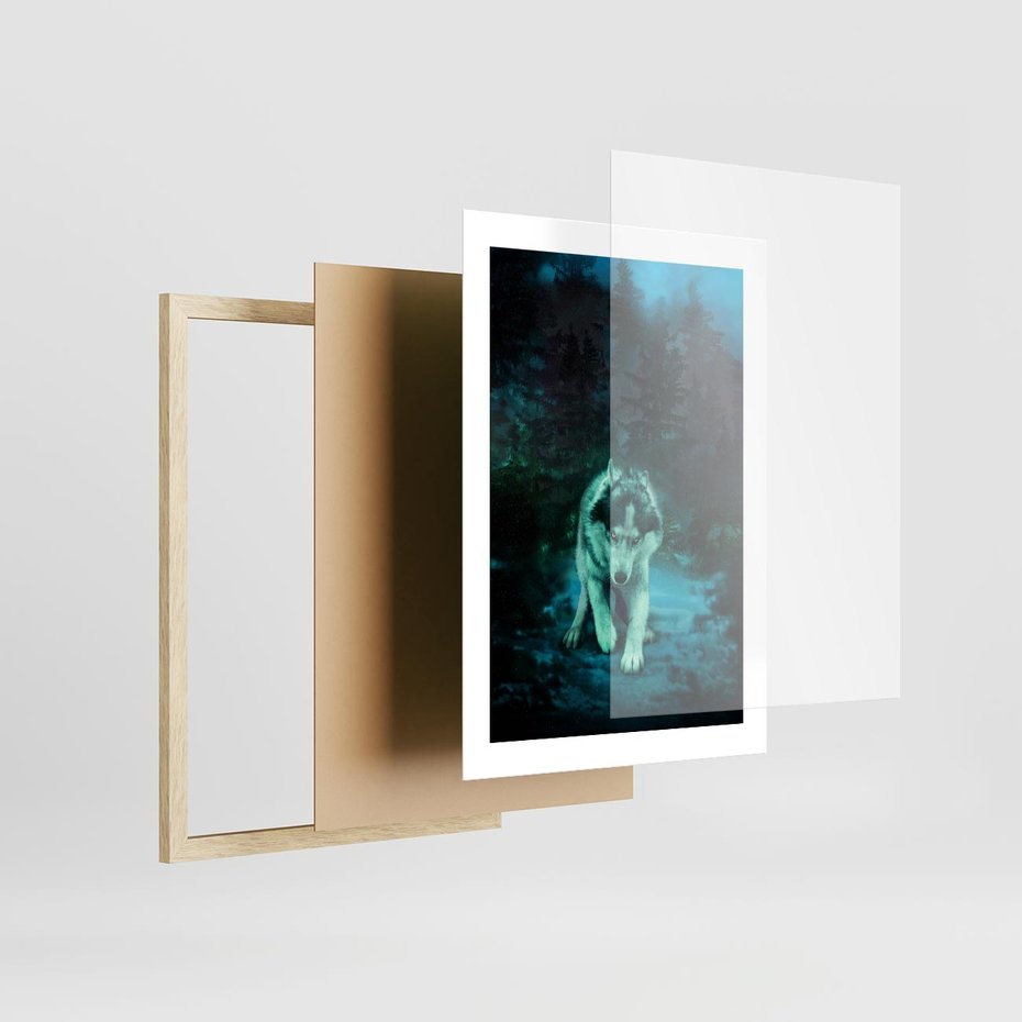 Plakat w ramie 30x40 - Siła i wdzięk natury - wilk, husky - rama drewno