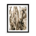 Plakat w ramie 50x70 - Retro Pole Kukurydzy - retro zdjęcie, sepia - rama czarna