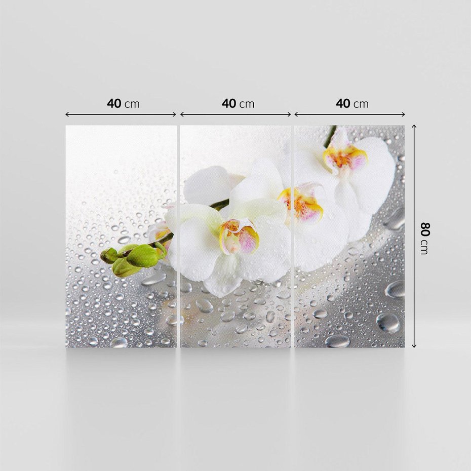 Obraz na płótnie 120x80 - Kwiatowy rój - kwiaty, kwiat