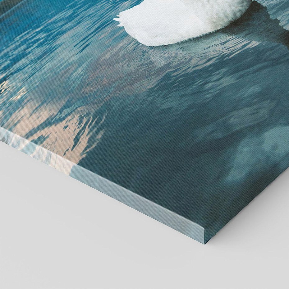 Obraz na płótnie 50x70 - Łabędzi Śpiew - fotografia, plakat