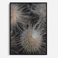 Obraz w ramie 70x100 - Ulotna Piękność Natury - makro, dmuchawce - rama czarna