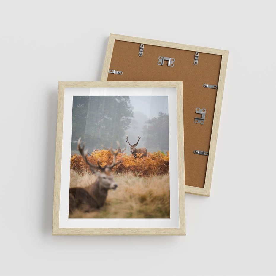 Plakat w ramie 40x50 - Malownicza Harmonia - jelenie, jesień - rama drewno