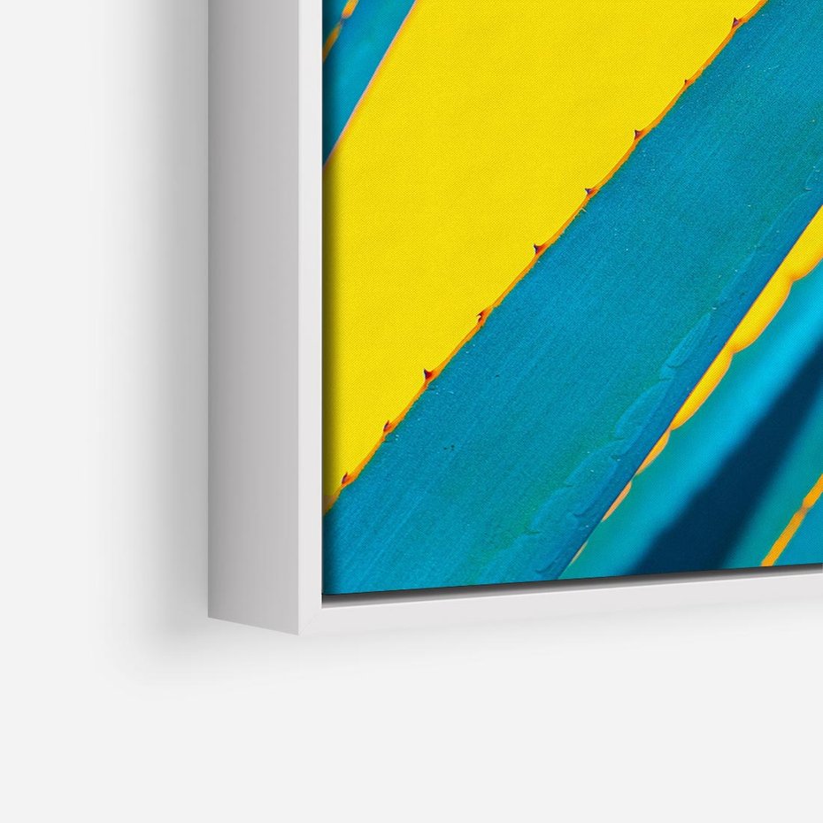 Obraz w ramie 50x50 - Świeżość Natury - aloes, liście - rama biała