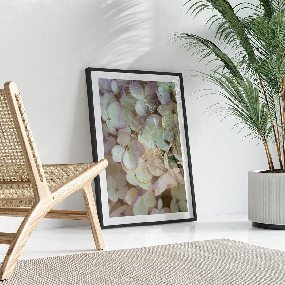 Plakat bez ramy 50x70 - Kwiatowy taniec - kwiaty, hortensje