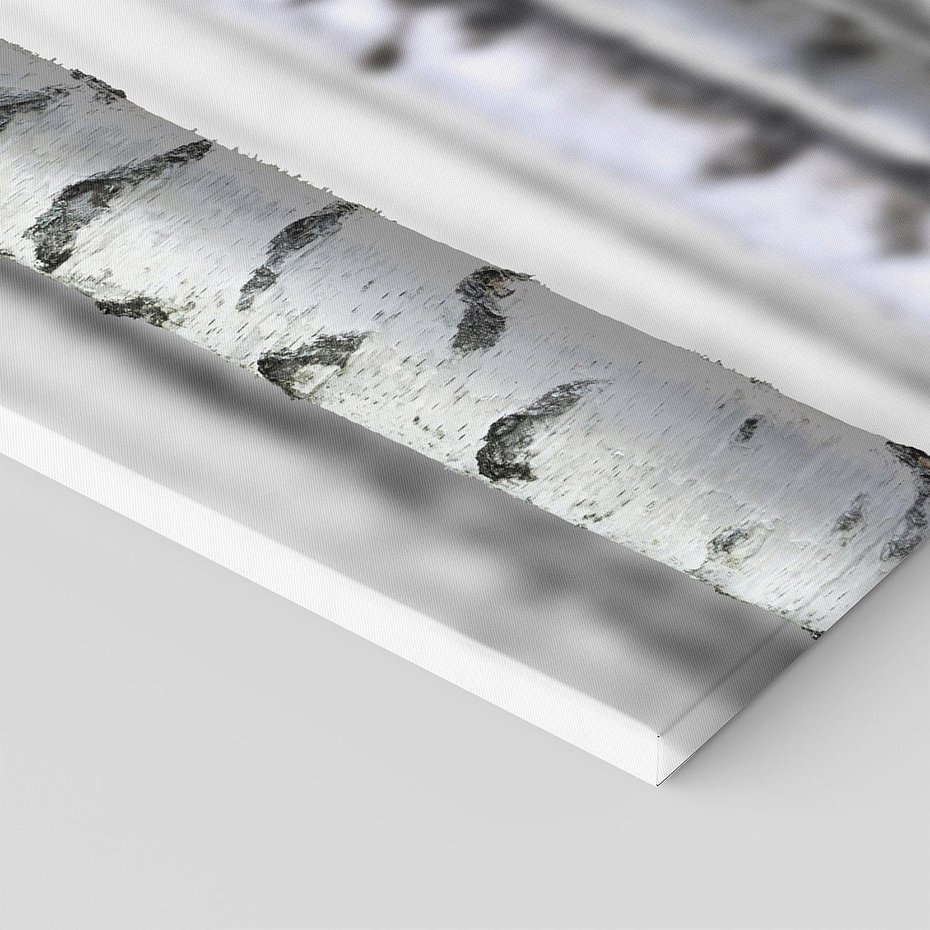 Obraz na płótnie 100x50 - Delikatność brzóz - brzozy, las