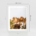Plakat w ramie 40x50 - Suche Żółte Liście w Malowniczym Ujęciu - liście, żółte - rama biała