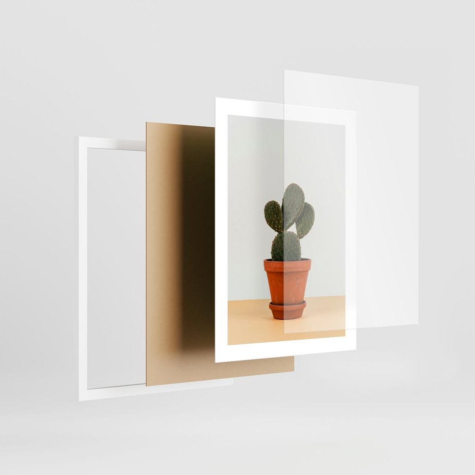 Plakat w ramie 30x40 - Kwiatowy taniec kaktusa - kaktus, kwiat - rama biała