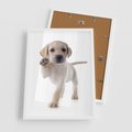 Plakat w ramie 50x70 - Szczeniak pełen radości - piesek, szczeniak - rama biała
