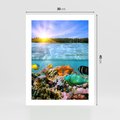 Plakat bez ramy 30x40 - Rafa Koralowa - Podwodne Cuda - rafa, koralowa