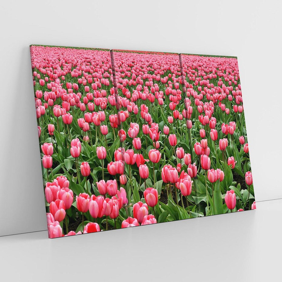 Obraz na płótnie 120x80 - Tulipanowe Elegancja - tulipany, kwiat