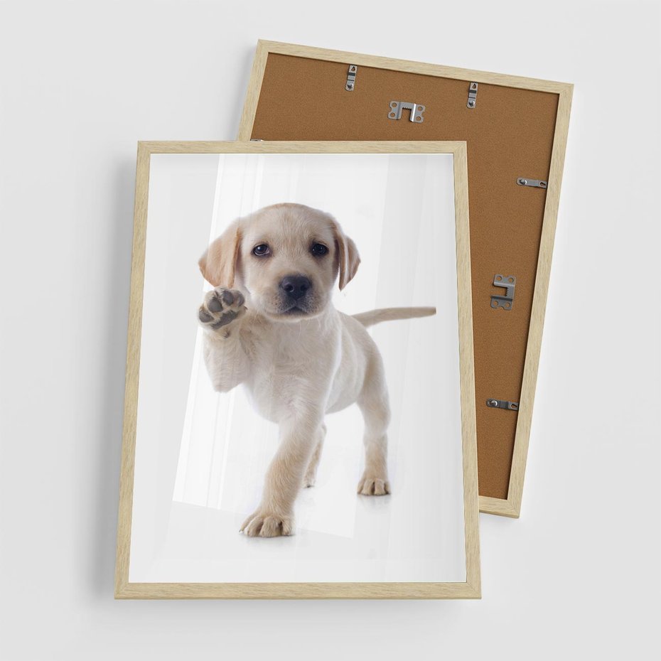 Plakat w ramie 50x70 - Szczeniak pełen radości - piesek, szczeniak - rama drewno