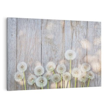 Obraz na płótnie 100x70 - Symbol swobody - dmuchawce