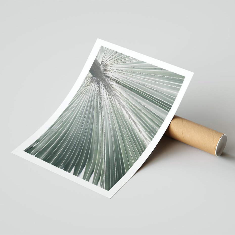 Plakat bez ramy 21x30 - Jasnozielony Świat - palma, liść