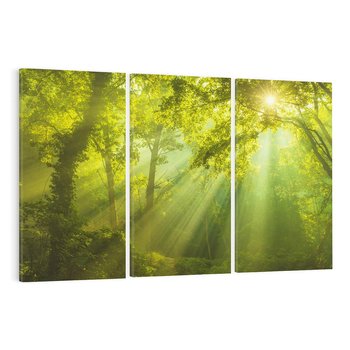 Obraz na płótnie 120x80 - drzewa w harmonii - las, drzewa