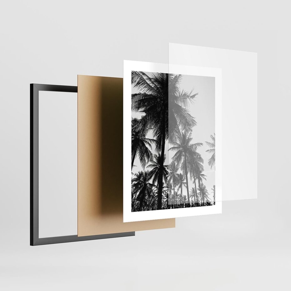 Plakat w ramie 40x50 - Mono Tropiki - palmy, drzewa palmowe - rama czarna