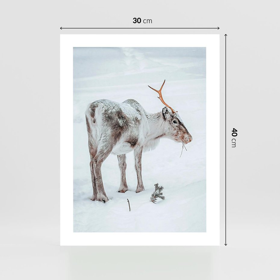 Plakat bez ramy 30x40 - Magia Świąt - renifer na śniegu, śnieg