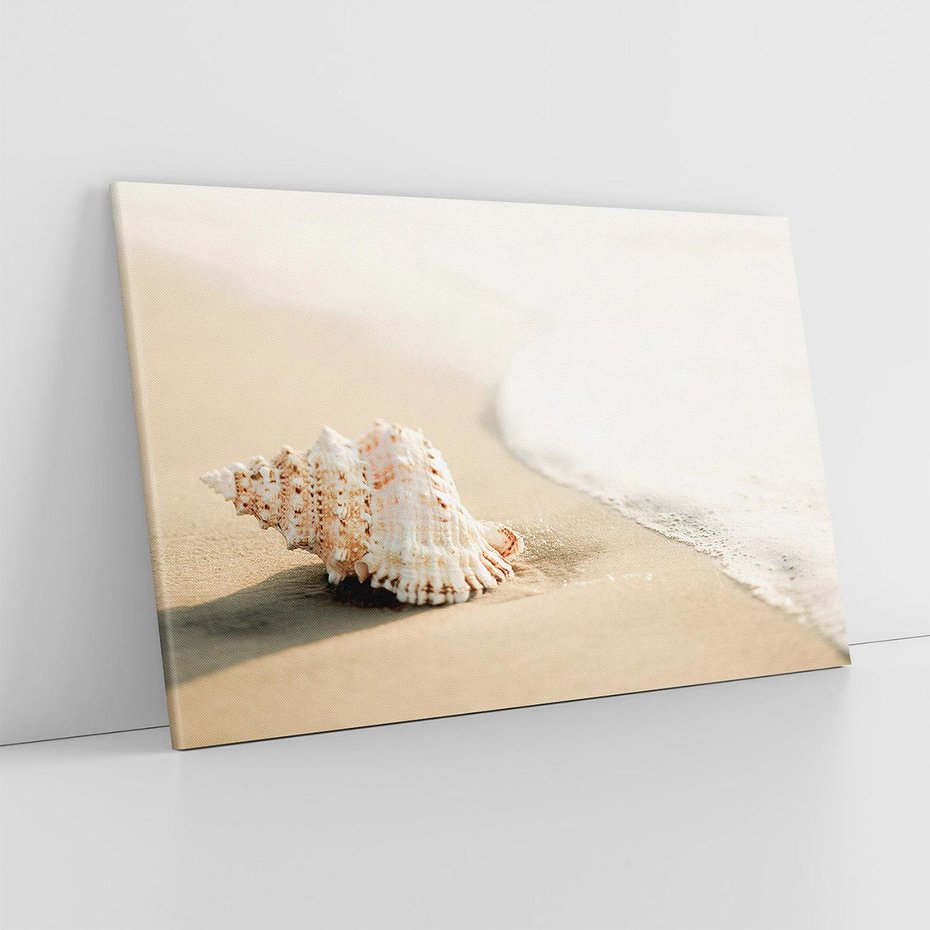 Obraz na płótnie 120x80 - Urok plażowej muszelki - fotografia, muszla na plaży