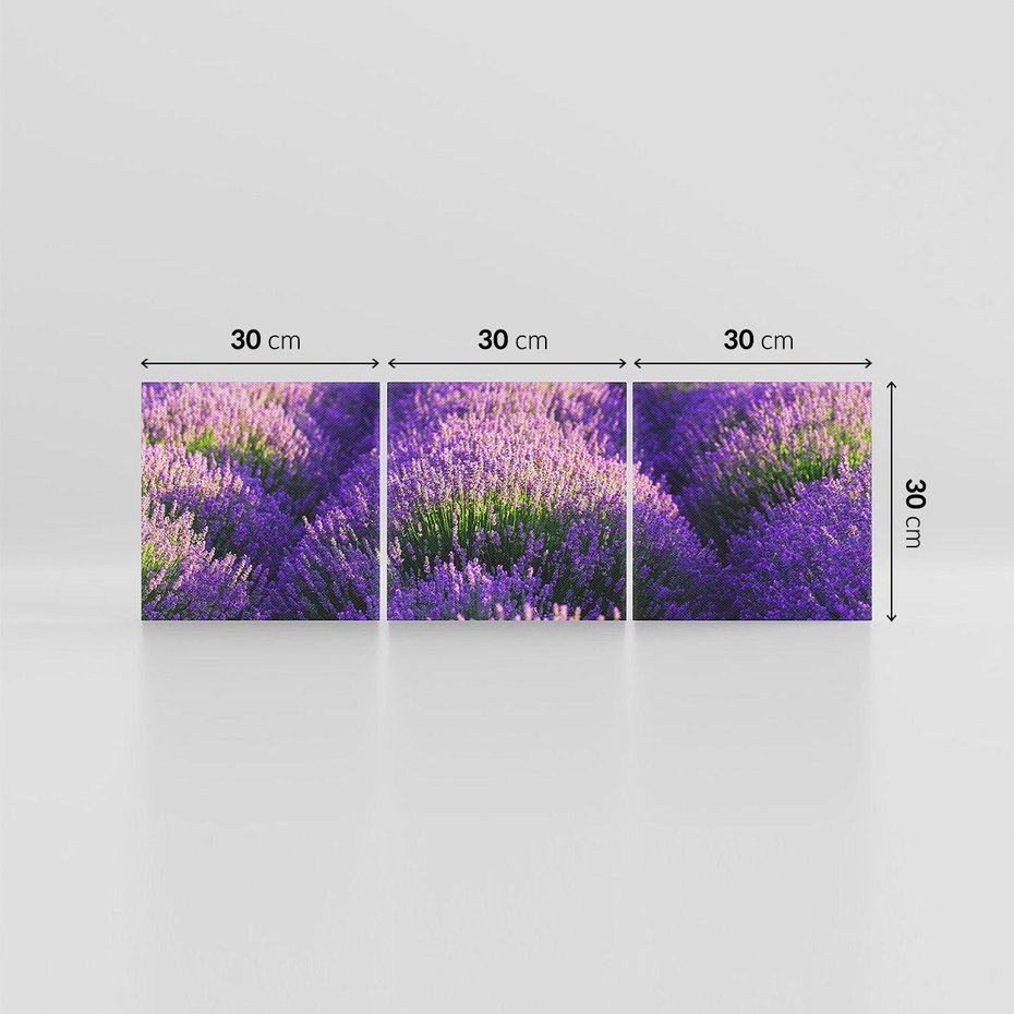 Obraz na płótnie 90x30 - Malownicze Pole Lawendy - lawenda, pole