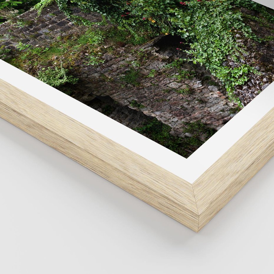 Plakat w ramie 30x40 - Żywiołowa Zieleń - mur, liście - rama drewno