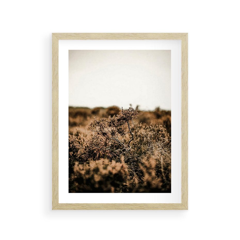 Plakat w ramie 30x40 - Krajobraz W Naturze: Beże i Brązy - suche krzewy, natura - rama drewno