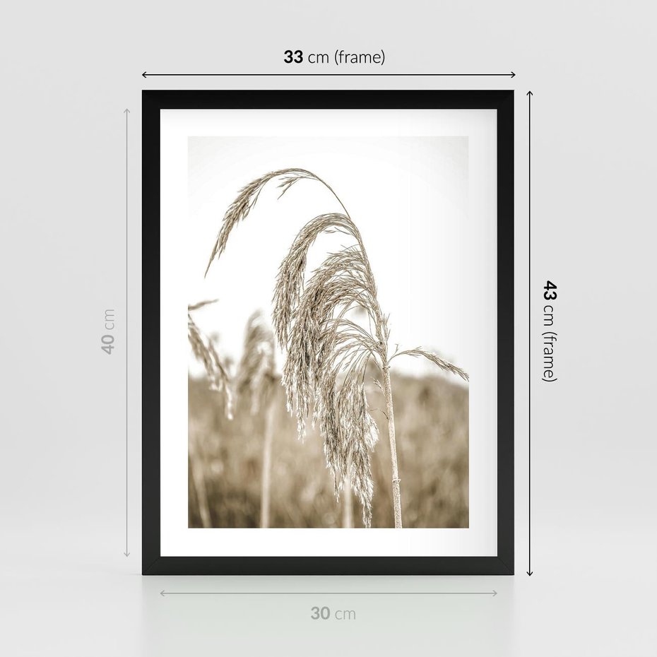 Plakat w ramie 30x40 - Ujęcie Suchych Traw - suche trawy, zbliżenie - rama czarna