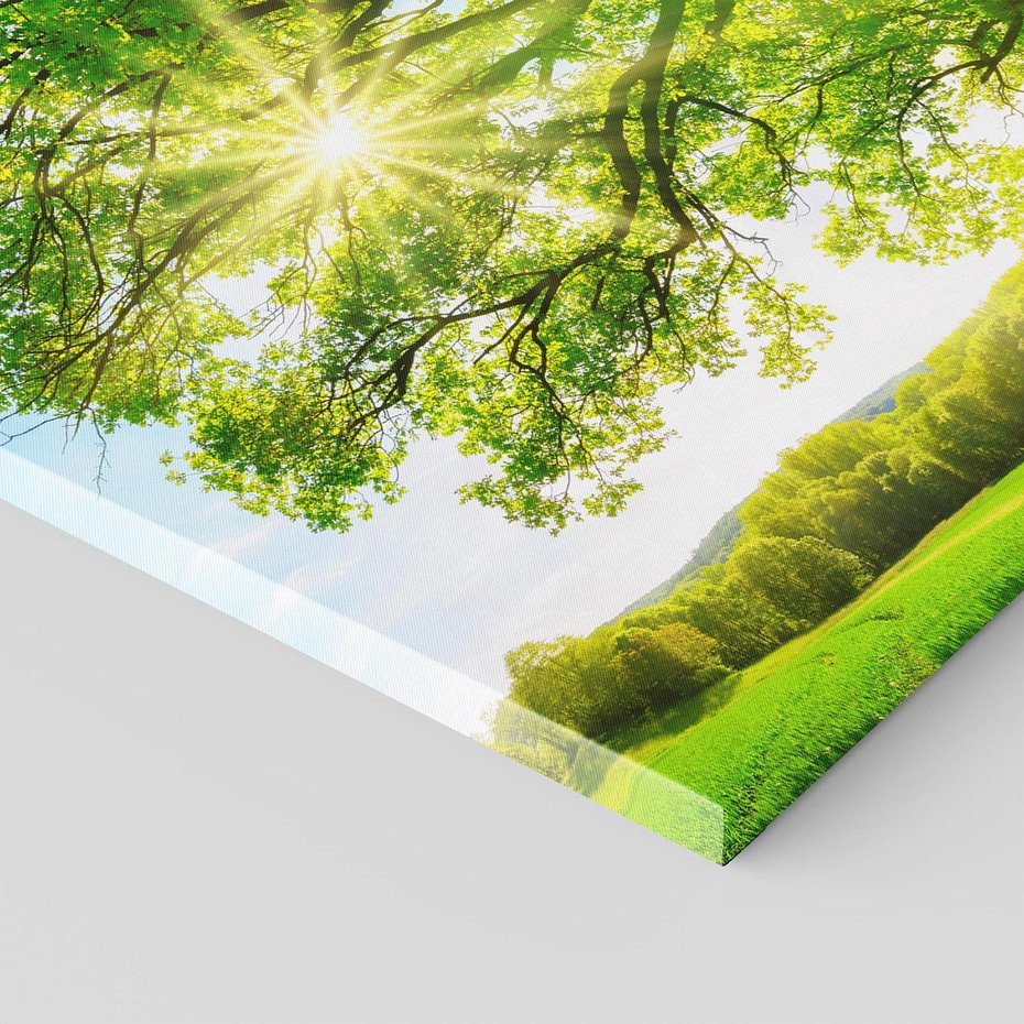 Obraz na płótnie 120x80 - Natura w pełnym rozkwicie - drzewo, niebo