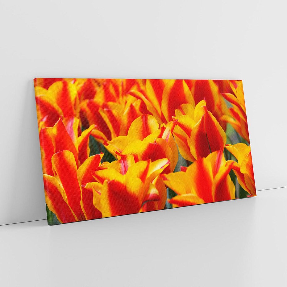 Obraz na płótnie 140x70 - Kwiatowa natura - kwiat, kwiaty