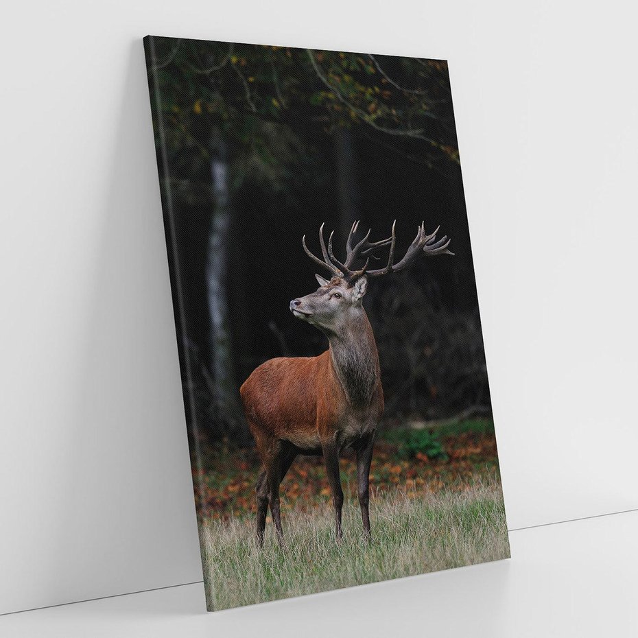 Obraz na płótnie 80x120 - Spotkanie z naturą - jeleń, las