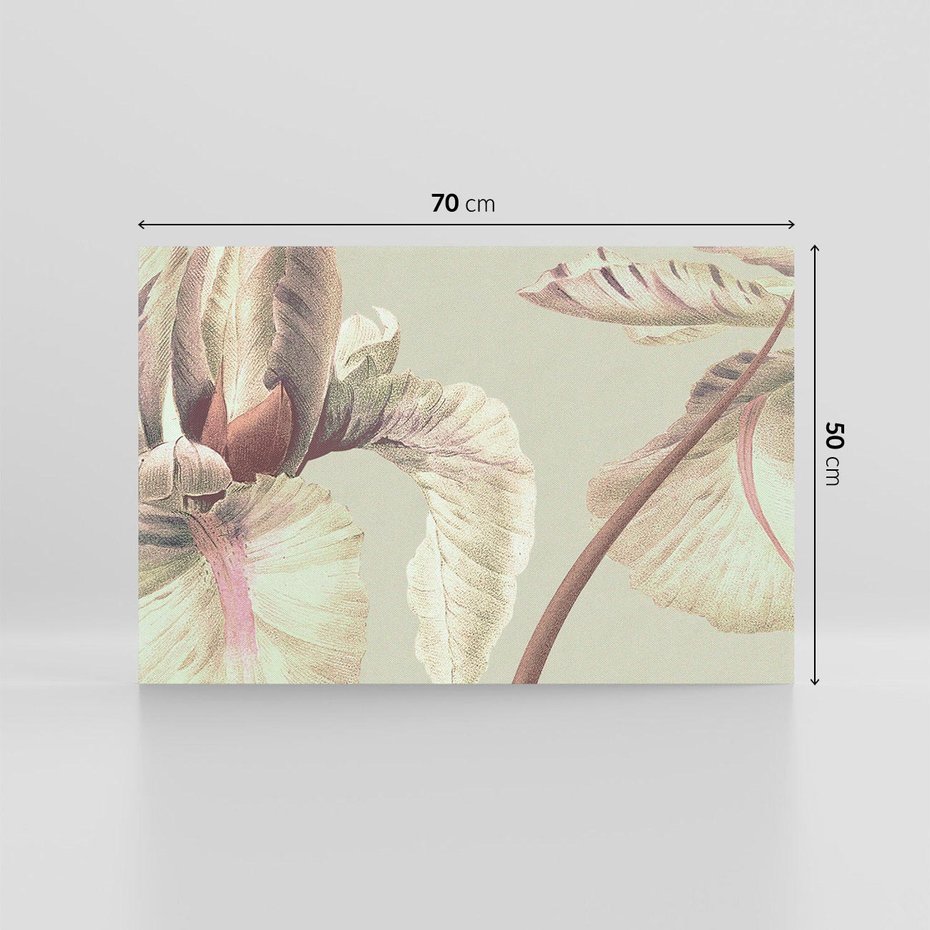 Obraz na płótnie 70x50 - Przenikanie światów barw - kwiaty vintage, tropikalne rośliny