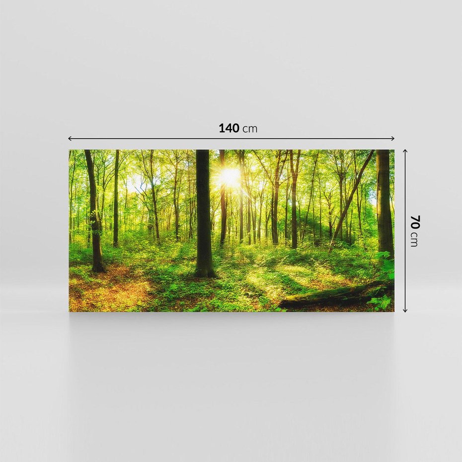 Obraz na płótnie 140x70 - Mistyfikujący las - las, drzewa