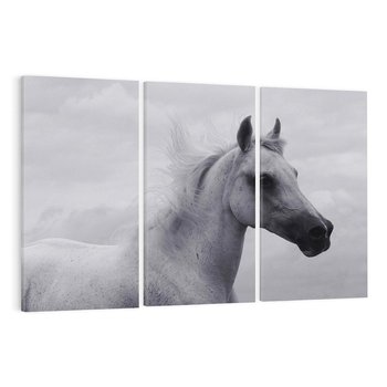 Obraz na płótnie 120x80 - Moc i Wolność - czarno biała fotografia, biały