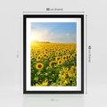 Plakat w ramie 30x40 - Idylla na łące słoneczników - łąka, słoneczniki - rama czarna