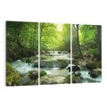 Obraz na płótnie 120x80 - Ukojenie strumienia: Spotkanie z naturą - strumyk, las