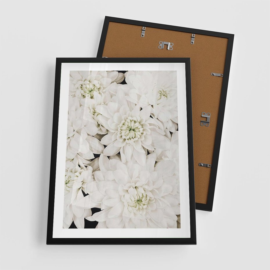 Plakat w ramie 50x70 - Białe Kwiaty: Płatki Delikatności - białe kwiaty, zbliżenie - rama czarna