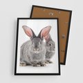 Plakat w ramie 50x70 - Uroczy królik wśród natury - królik, zając - rama czarna