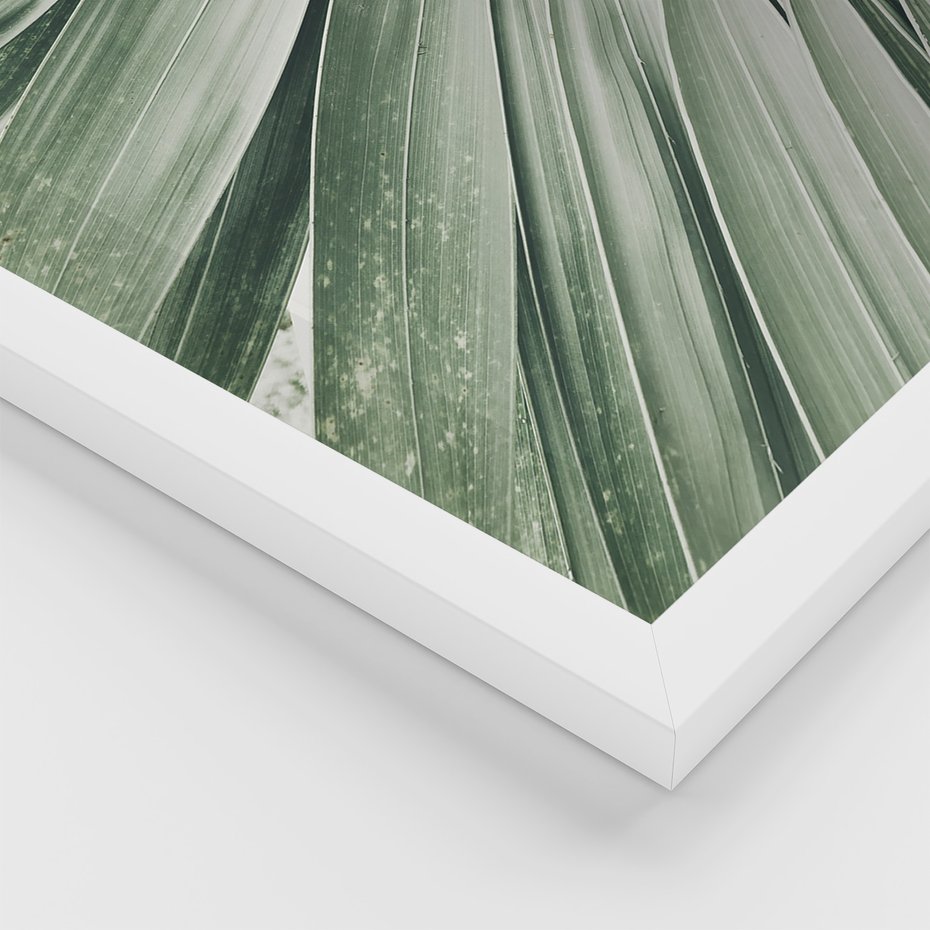 Zestaw obrazy w ramie 40x50 galeria - Palmy, liście, zielone - rama biała