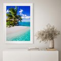 Plakat bez ramy 30x40 - Zaklęte palmy tropików - palmy, ocean