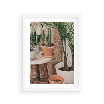 Plakat w ramie 50x70 - Boho Oaza: Kaktusy w Doniczkach - rośliny kaktusy w doniczkach, boho wnętrze - rama biała