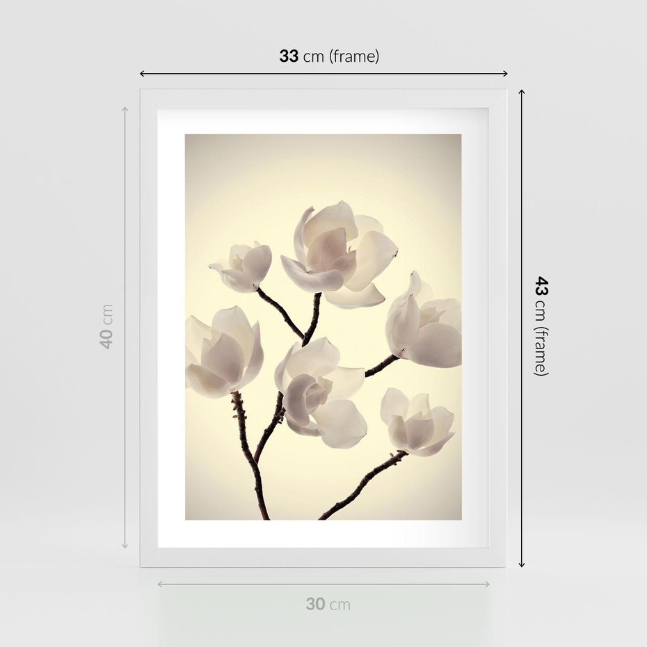 Plakat w ramie 30x40 - Elegancja Natury - magnolia, białe - rama biała