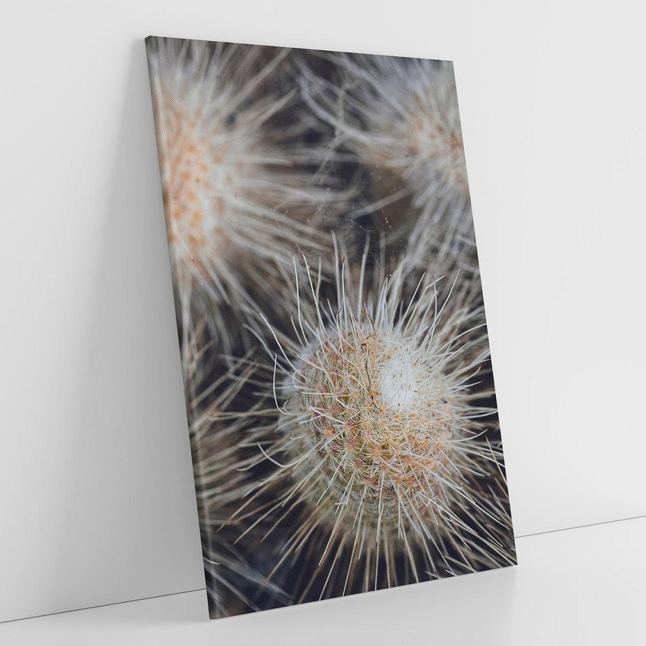 Obraz na płótnie 80x120 - Ulotna Piękność Natury - makro, dmuchawce