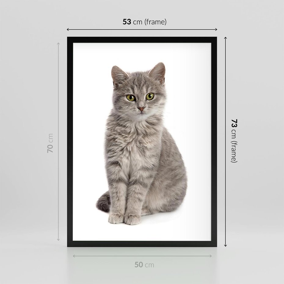Plakat w ramie 50x70 - Kocie uroki na płótnie - kot, kotek - rama czarna