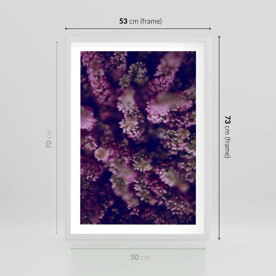 Plakat w ramie 50x70 - Wrzosowa Delikatność - wrzosy, kwiaty - rama biała