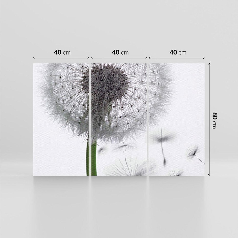 Obraz na płótnie 120x80 - Lekkość Przemijania - dmuchawiec, makro