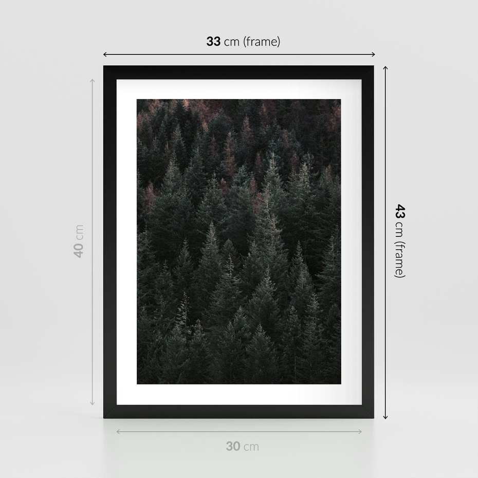 Plakat w ramie 30x40 - Wysoko nad Iglastym Lasem - las, perspektywa - rama czarna