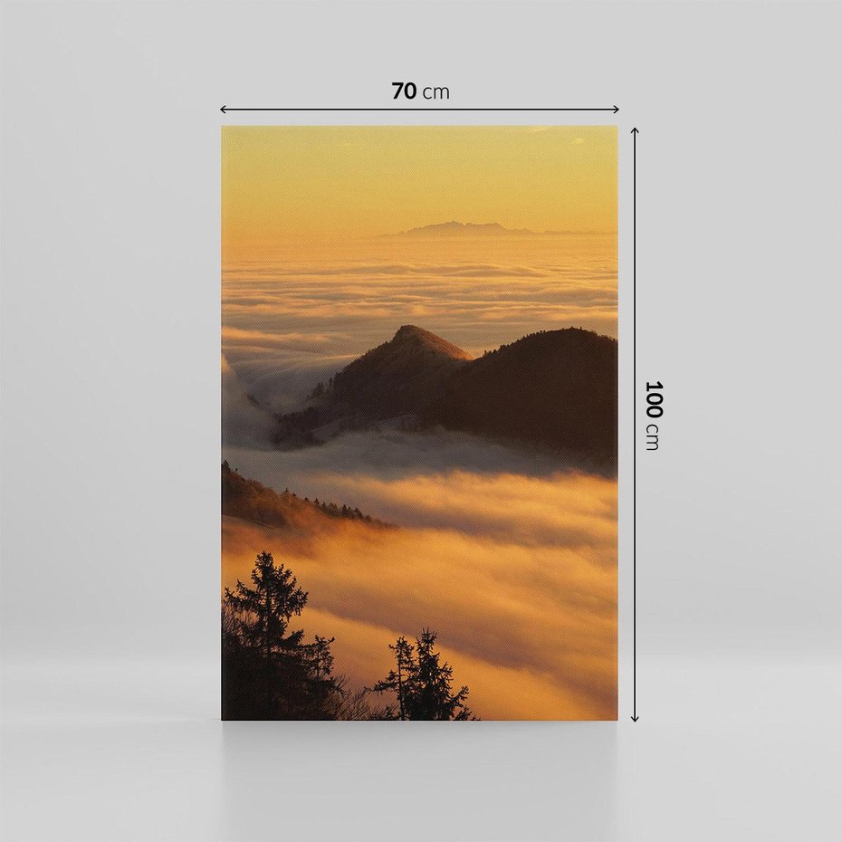 Obraz na płótnie 70x100 - Górzysty ukryty las - góry, las