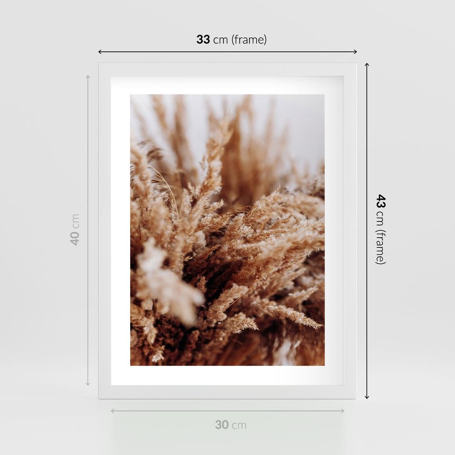 Plakat w ramie 30x40 - Sztuka Suszonych Traw - trawa pampas, suszone trawy - rama biała