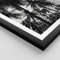 Plakat w ramie 30x40 - Mono Tropiki - palmy, drzewa palmowe - rama czarna