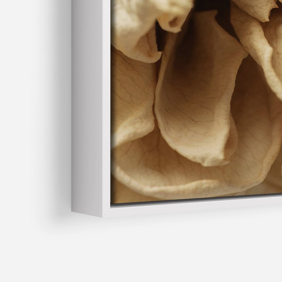 Obraz w ramie 80x120 - Zjawiskowe zasuszone kwiaty - zasuszone, kwiaty - rama biała