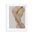 Plakat w ramie 50x70 - Suszone piękno - susz, suche - rama biała