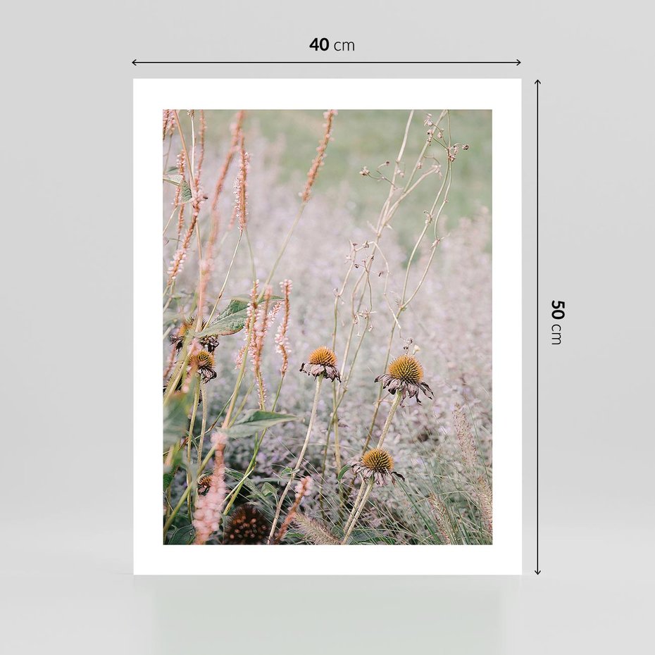 Plakat bez ramy 40x50 - Przyroda w Pełnym Blasku: Kolorowa łąka z Kwiatami - łąka, kwiaty na łące